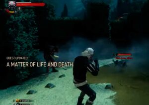 The-witcher-3-game-juego_2